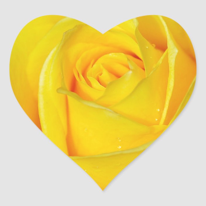 The story of first sex, in the words of women